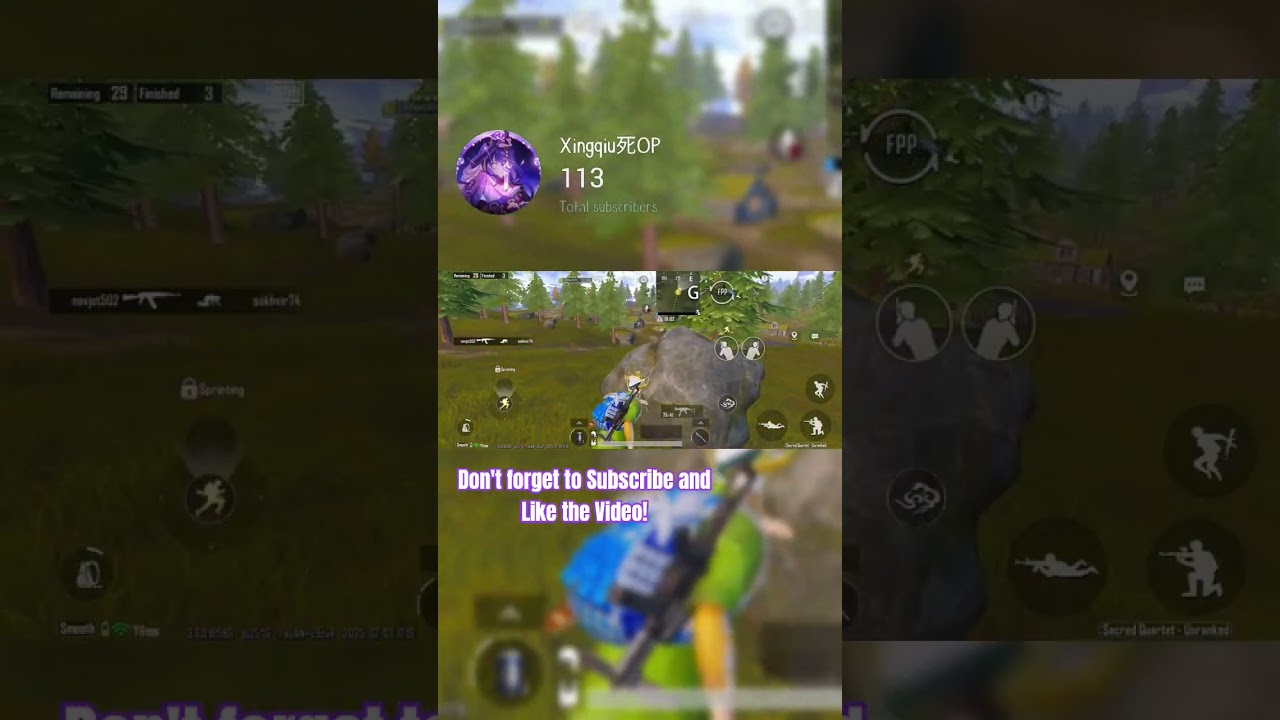 Some Old Clip Highlights • 