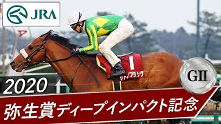 2020年 弥生賞ディープインパクト記念（GⅡ） | サトノフラッグ | JRA