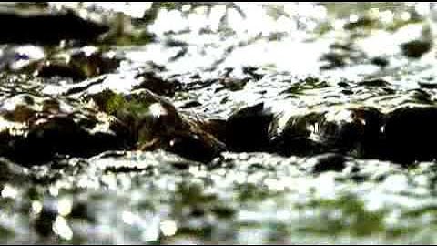 The origins of Gerolsteiner Sparkling Mineral Water
