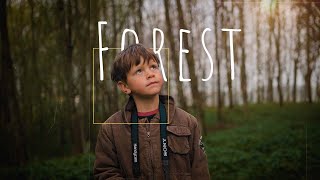 Cinematic Forest walk [ nature video 4k ] sony a7iii