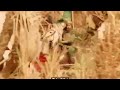 عباسنا زمجر الشاعر محمد الجماسي اداء علي الاسدي حسين الساعدي احمد الاسدي