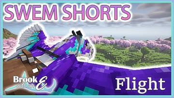 SWEM SHORTS- A Simple Guide to SWEM: Flight!