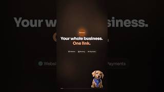 Your Whole Business. One Link. | Meet Setav #setavai #businessgrowth #personalbranding