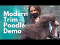 Modern Trim Poodle Grooming Demo with Helen Schaefer