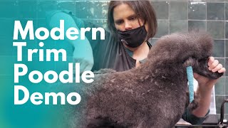 Modern Trim Poodle Grooming Demo with Helen Schaefer by GroomerTV 82,789 views 3 years ago 1 hour, 30 minutes