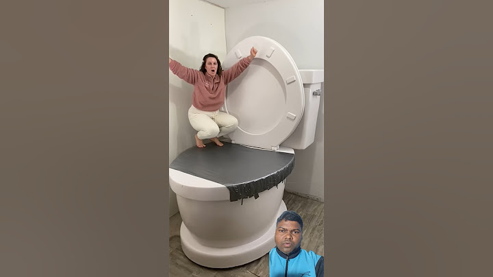 World largest toilet seat #toilet #funny #bathroom #shorts