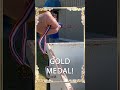 If the #olympics happened at the office!