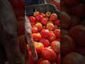 Lala harvest am manufacturing unit #manufacturing #tomato #business #viral #dailyvlog #trending