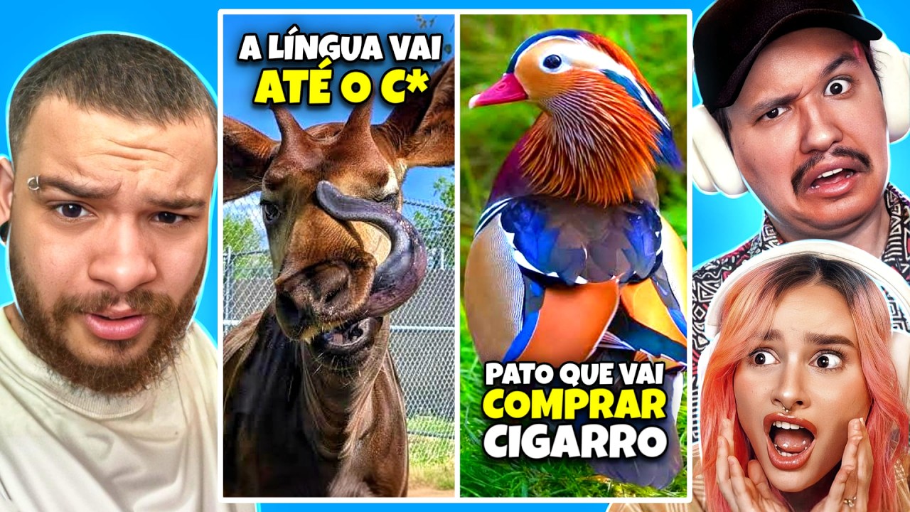 Animais tão estranhos que não parecem reais! | Curiosidades Curiosas