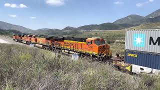 Buddy Chilling As I Do All The Work. He’s The Star. BNSF Intermodal Eastbound At Keenbrook 4KHDR