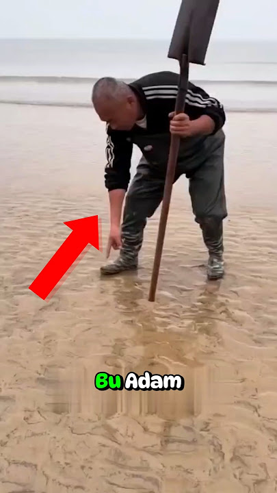 Adam Kumun İçinden İlginç Bir Canlı Çıkartıyor..🪱🏜️😲