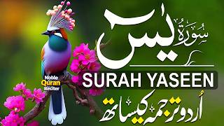 Surah Yaseen (سورة يس) | Relaxing Lofi Quran for Deep Sleep & Soul Peace #lofiquran