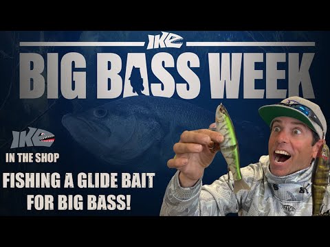 How to Fish a Glide Bait for Big Bass! 