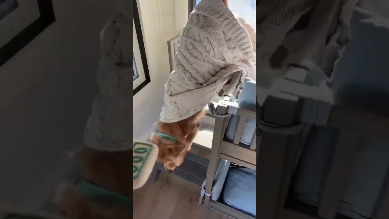 Time to wake up Chip Pup’s 🐶 