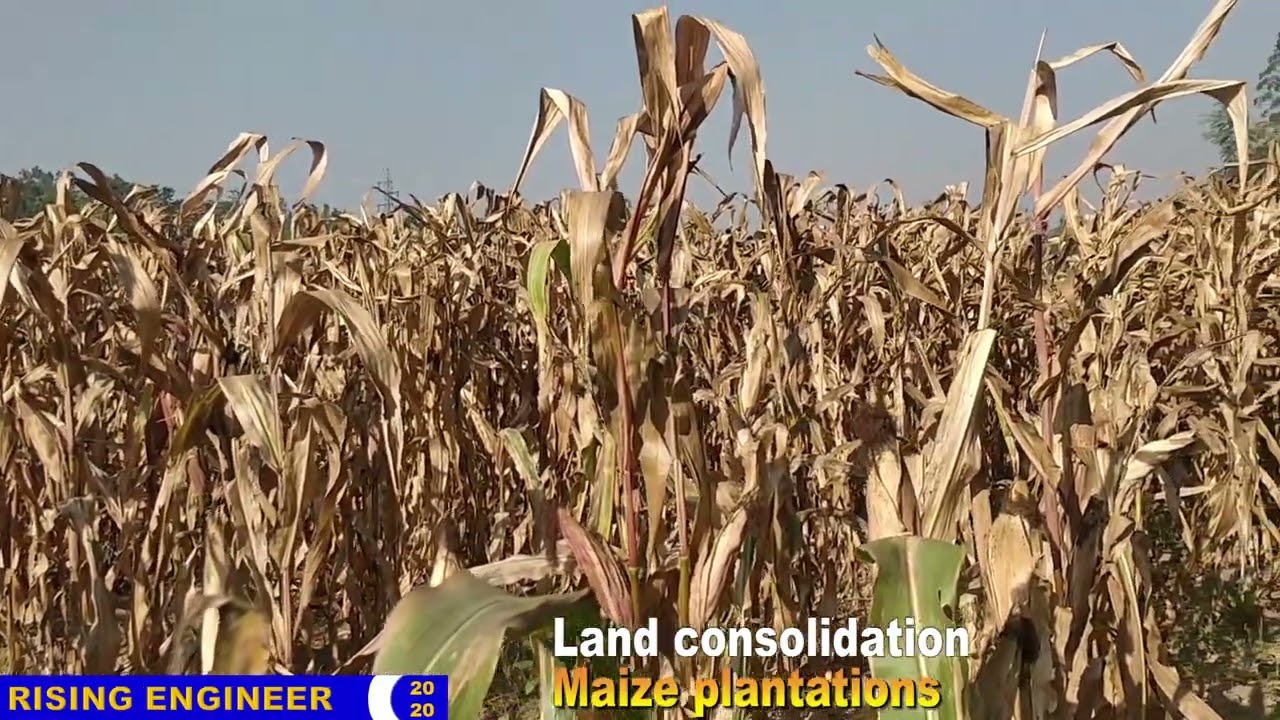 Land consolidation & post harvest facilities