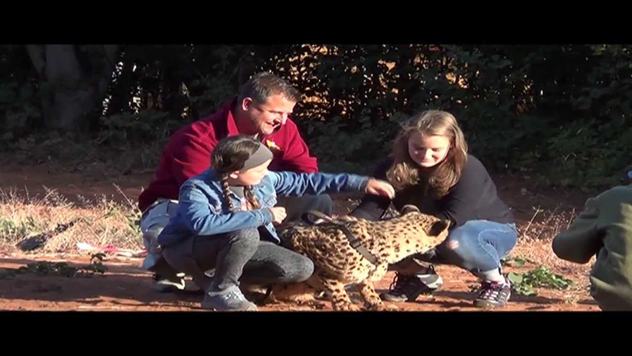 Venanzi Family Walking with the Lions and Cheetahs with Mukuni Big 5 Safari