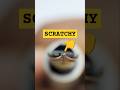 How To QUICKLY Fix A Scratchy Nib
