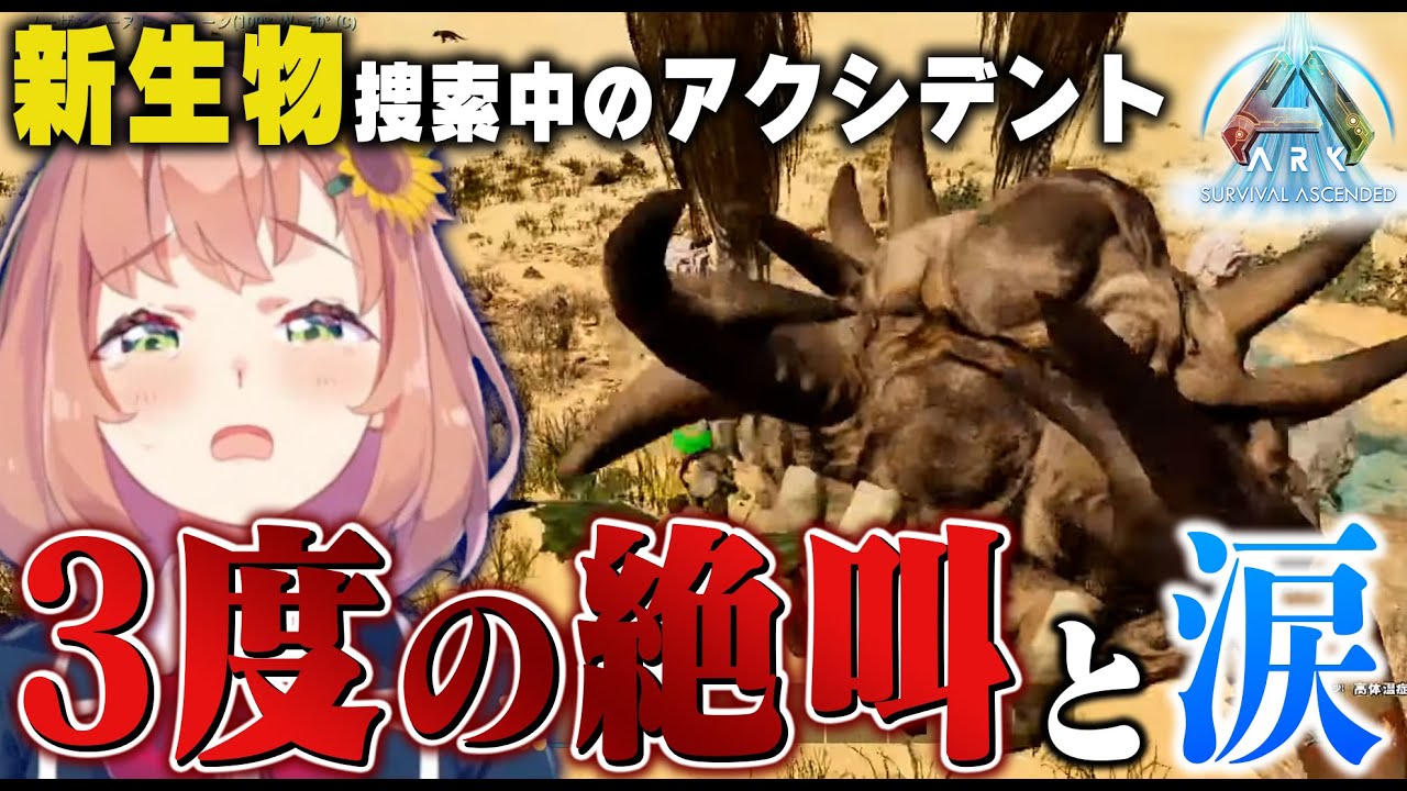 【ASA】1配信で三度も事件性のある悲鳴をあげるひまちゃん【本間ひまわり/にじさんじ】