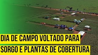 Dia De Campo Prospera E Testagro