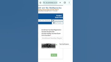 How to Fill CCS University B.Ed 1 & 2 Year Exam Form 2024 #shorts #ccsu #bedexam