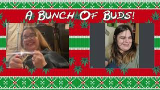 High 5 Presents: A Bunch of Buds Podcast Episode 29