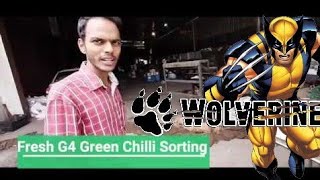 🔴 Learn Live : Invest & Learn in the Wolverine of Exports WOLVEX OVERSEAS Exporting Chilli & MixVeg Profile