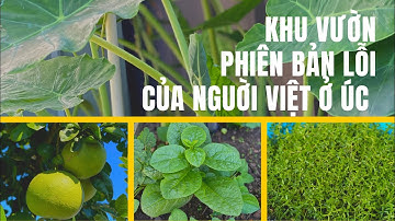 Khu vườn phiên bản lỗi của người Việt ở Úc - DU LỊCH VÀ CUỘC SỐNG ÚC