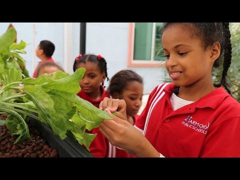 Ecology Club is a Big Hit at Harmony School of Fine Arts and Technology (Houston)