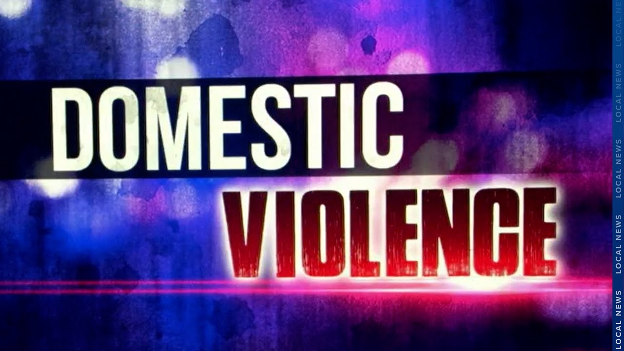 Приюты для жертв домашнего насилия в Иллинойсе нуждаются в большем количестве жилья