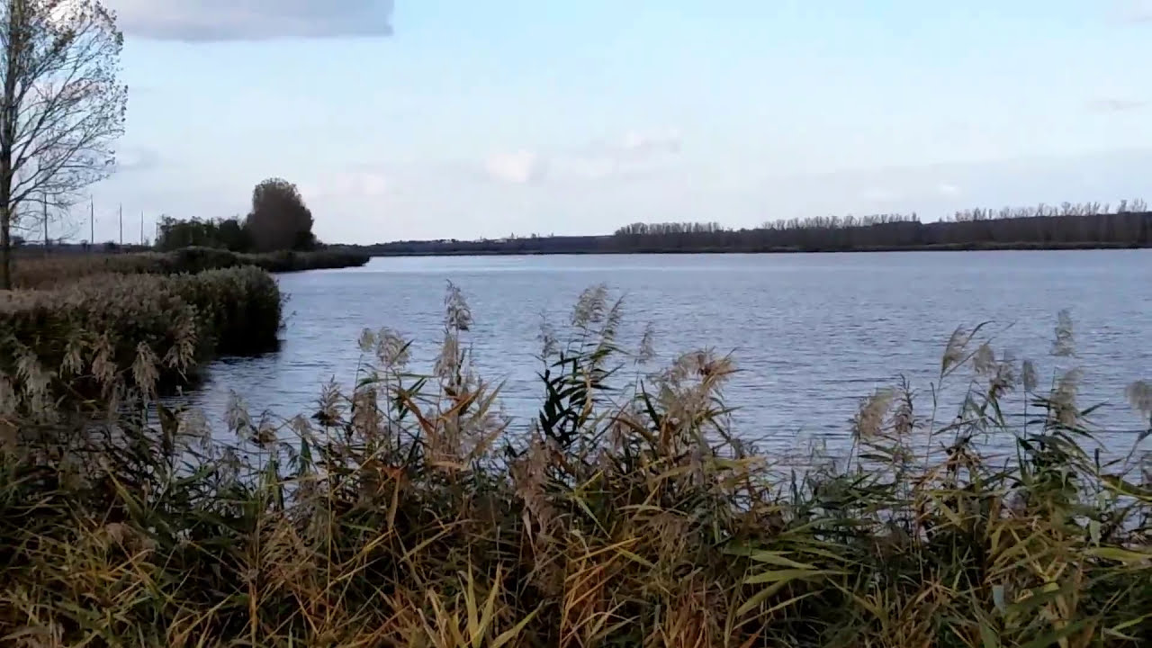 Одесская область Монаши октябрь 2015 года. Дорога Одесса-Рени.