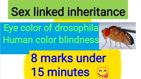 sex linked inheritance// Class 12 // Botany // Linakage and crossing over
