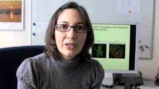Building Stem Cell Niches from Scratch