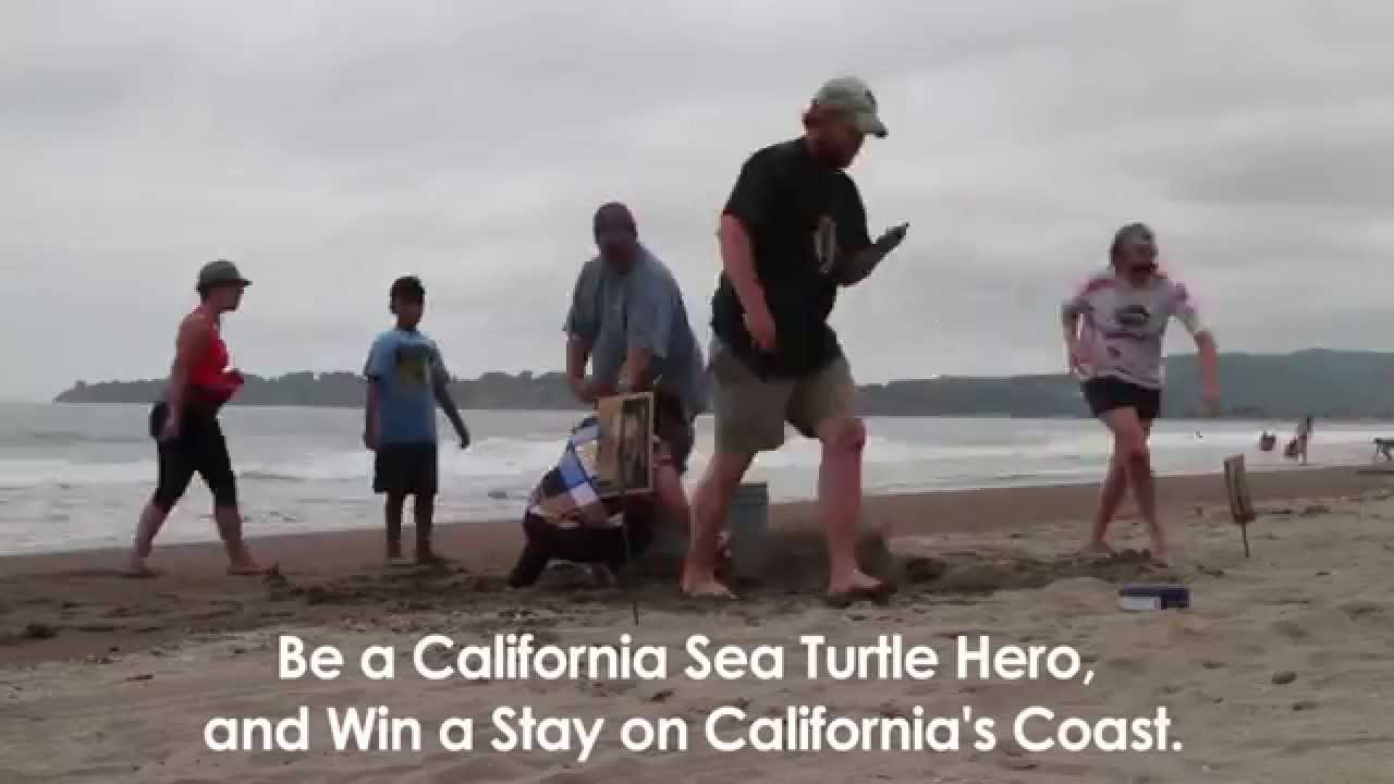 sea of thieves Enter the Sea Turtle Sand Castle Snapshot Contest!