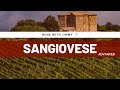 Grape Varieties - Sangiovese Advanced Level ideal for WSET L3 and L4