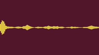 (27hz-38hz)Blaxx - Gyal Owner (Rebassed)