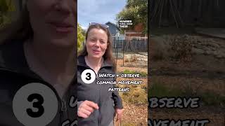 Got Gophers #gophers #gardening #gardeningtips #gardenshorts