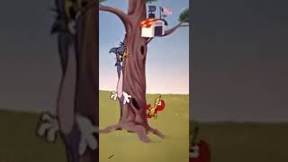 Tom And Jerry 120 - Landing Stripling 1962