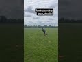 #football #agility #footballshorts #runningbacks #discipline #motivation #speed #offseason #hardwork