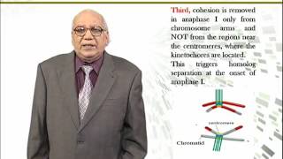 BIO731_Topic136