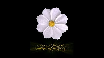 صباح الخير🌼 اجمل حالات واتس اب مقاطع قصيره🌼 قران كريم ان الله وملائكته يصلون على النبي🌼 بدون حقوق