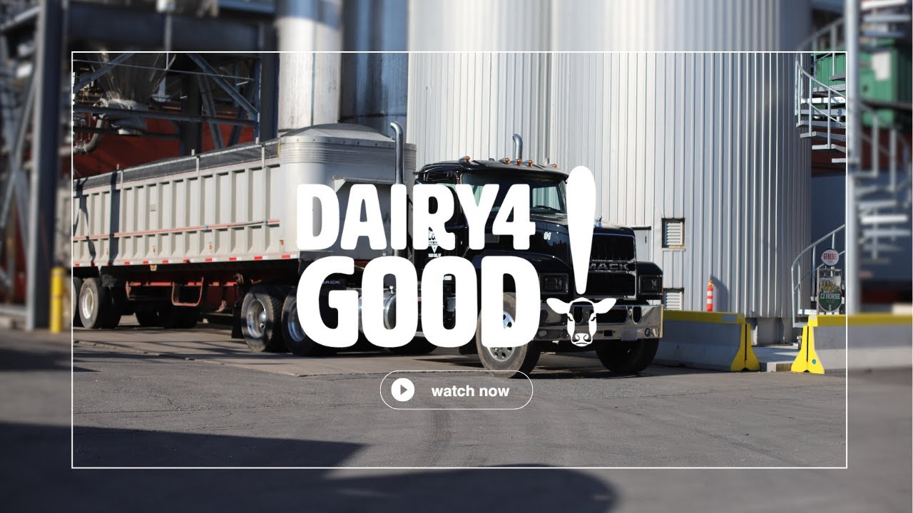 How Spent Grain from Genesee Brewery is Recycled