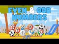Understanding Even and Odd Numbers