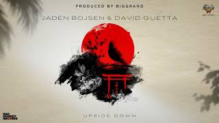 UPSIDE DOWN - JADEN BOJSEN & DAVID GUETTA (Prod. BigGrand Remix) #djbiggrand #afrohousemix
