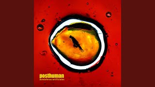 Acento - Post Human