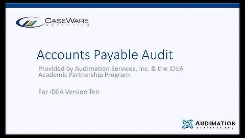 IDEA 10 Workbook Section 3 - Accounts Payable Audit