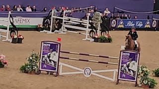 Horse Riding Fail: John Whitaker's Unexpected Fall at HOYS || WooGlobe Profile
