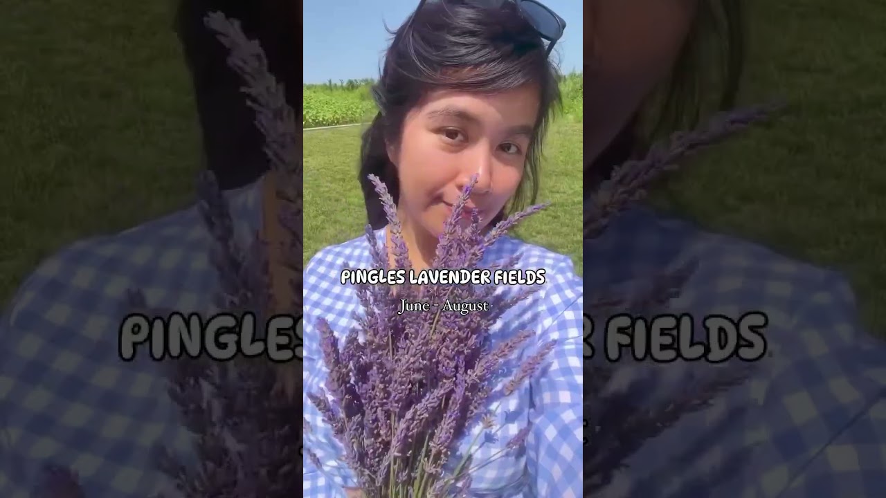 Flower Calendar in Toronto, Canada!! 🌷💐