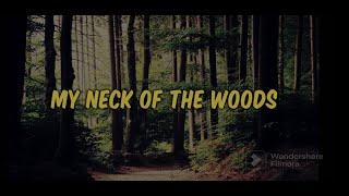 Watch Blake Shelton My Neck Of The Woods video
