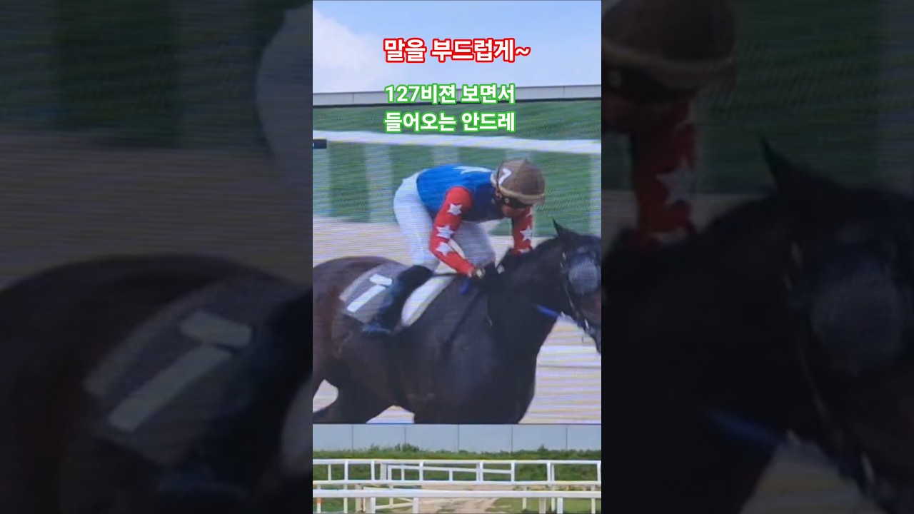 용병 안드레 벌써 감잡았어!# 경마 #말 #달려라말 #shorts