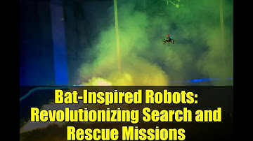 Bat-Inspired Robots: Revolutionizing Search and Rescue Missions